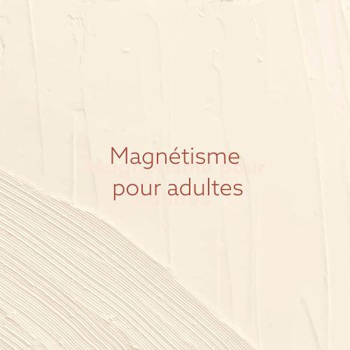 Magnétiseur au Mans avec Christelle LEGO